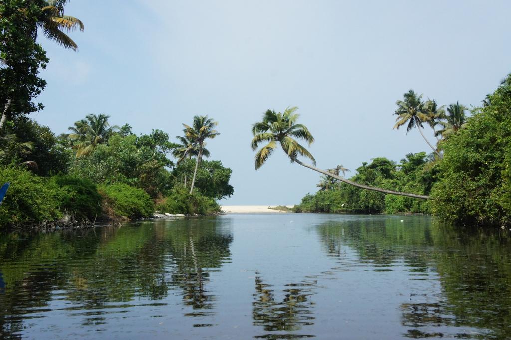 Marari Secret Beach Yoga Homestay Mararikulam Zewnętrze zdjęcie